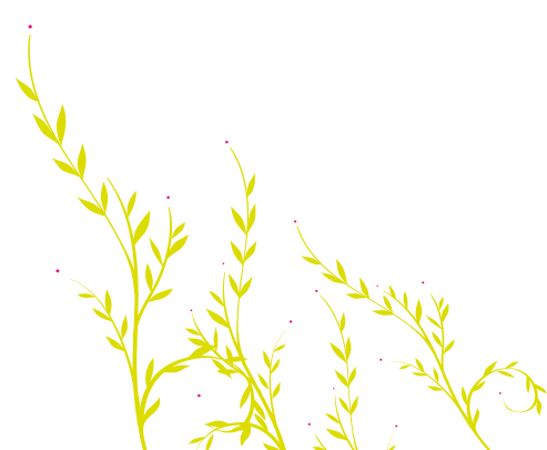 Fleur Pichon fleuriste à Saint Renan